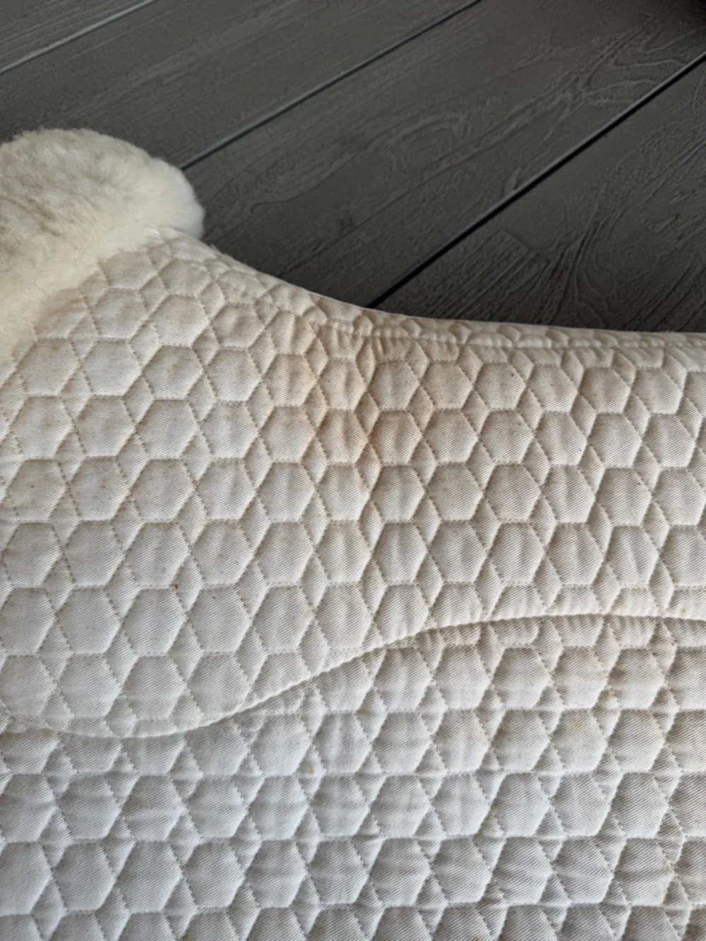 E. A. Mattes GOLD EuroFit Pad with Bare Flaps white with sheepskin size medium - Picture 5 of 7